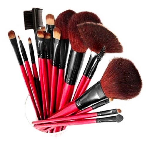 SHANY Professional 13-Piece Cosmetic Brush Set with Pouch, Set of 12 Brushes and 1 Pouch, Red